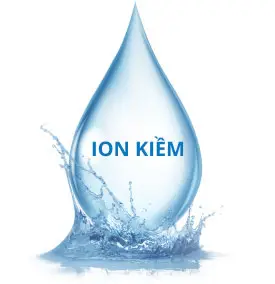 ion-kiem